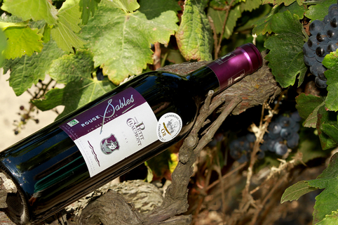 Domaine du petit Chaumont Aigues Mortes produit et élève des vins des sables biologiques en rouge, rosé et blanc.(® saam-fabrice Chort)