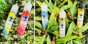 Steam Vap Nîmes • eliquides gourmands pour les Fêtes