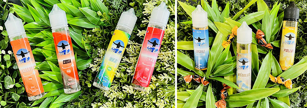 Steam Vap Nîmes • eliquides gourmands pour les Fêtes