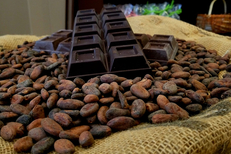 Cacao Marius Nîmes est un chocolatier artisanal (® SAAM D Gontier)