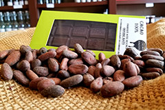 Cacaoterie Marius Nîmes | Tablettes de chocolats de pays