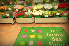 Le fleuriste Le Jardin des Fleurs Nîmes propose des bouquets de fleurs, des plantes pour orner son intérieur ou à offrir (® networld-fabrice chort)